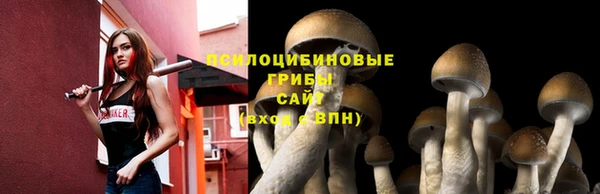 альфа пвп Бугульма